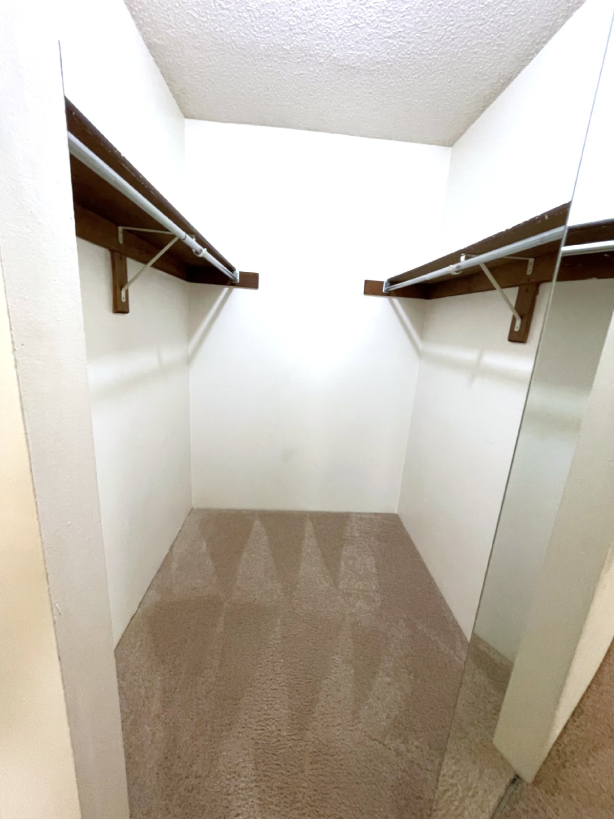 Charming 1 Bed Condo in Lakewood, CO - Perfect for Comfortable Living property image